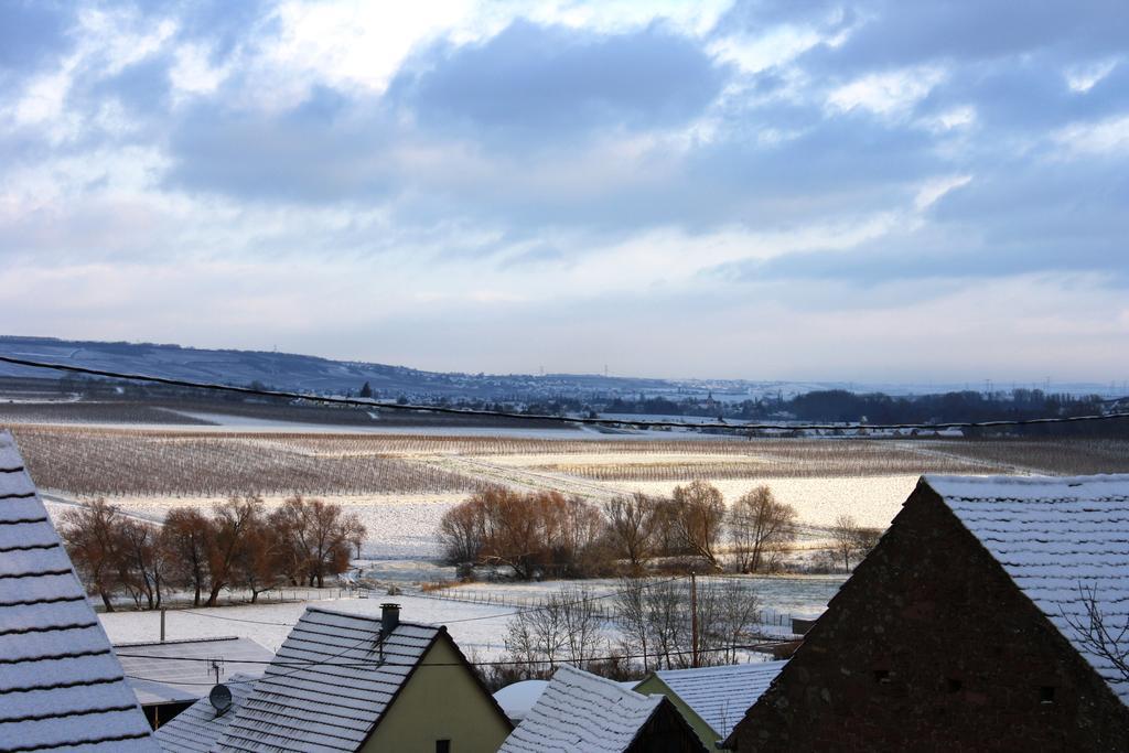 Gites Des Dix Vins Dangolsheim Exterior foto