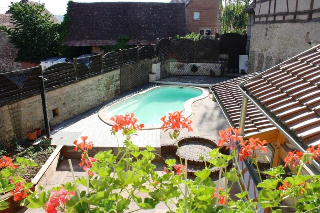 Gites Des Dix Vins Dangolsheim Exterior foto